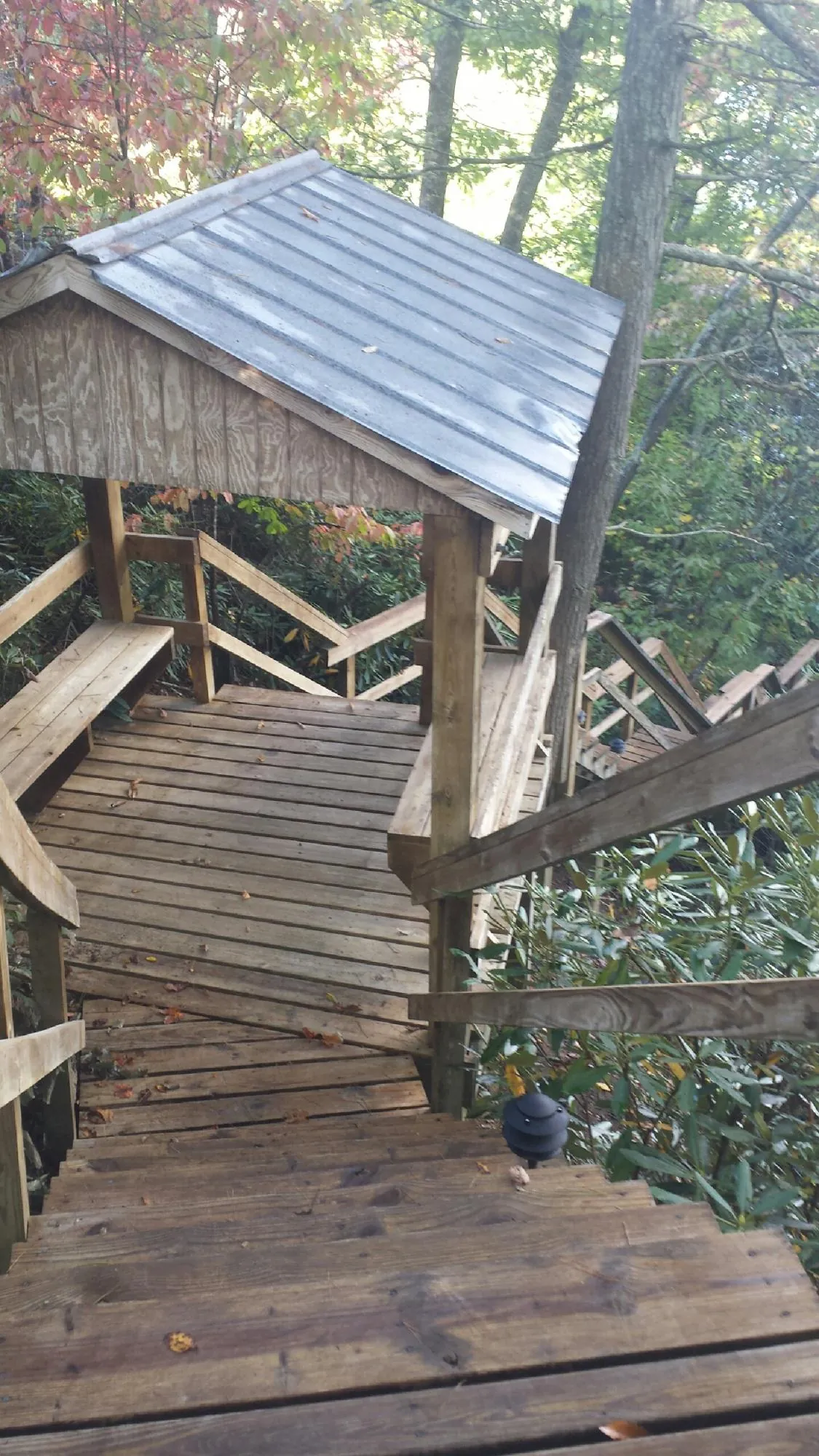 Metal roofed shelter over wooden steps on a wooded walkway — Skylight Repair & Installation work by our crew in Saint Marks